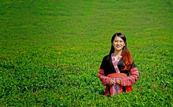 Công ty Ngọc Minh cho thuê xe du lịch đi Mộc Châu ngày lễ 2/9 Công ty Ngọc Minh cho thuê xe du lịch đi Mộc Châu ngày lễ 2/9