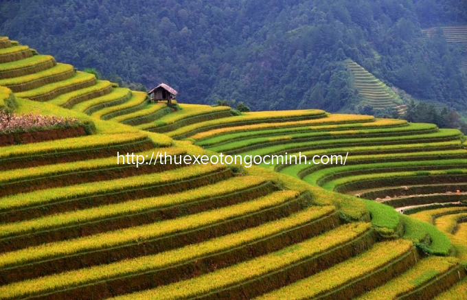 Bản Lìm Mông - cung ruộng bậc thang ít người biết đến Những địa đanh nổi tiếng ở Mù Cang Chải – Yên Bái