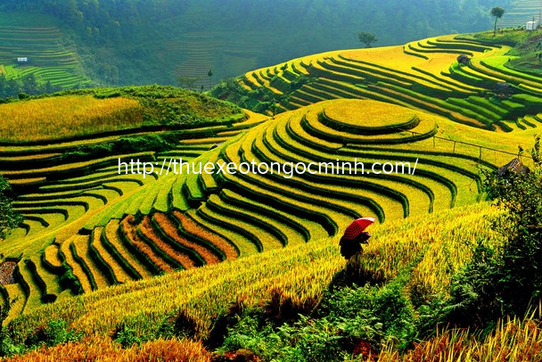 Mùa thu Sapa – vẻ đẹp đến nao lòng