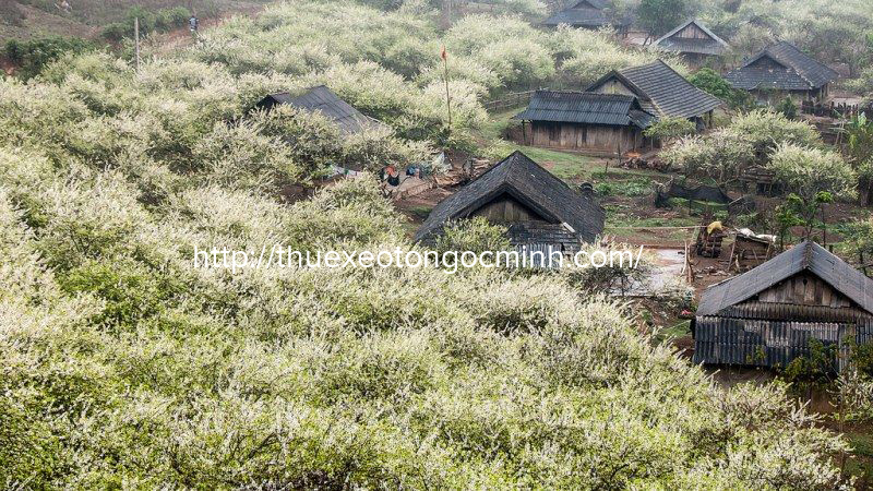 Vẻ đẹp mộc mạc Mai Châu giữa núi rừng Tây Bắc