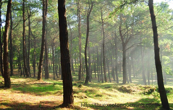 Kinh nghiệm du lịch Ba Vì từ A đến Z cực vui cực đã