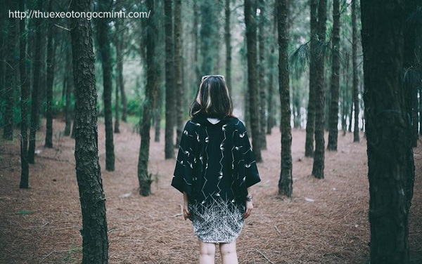 Hồ Đại Lải - Điểm nghỉ dưỡng lý thú ở tỉnh Vĩnh Phúc