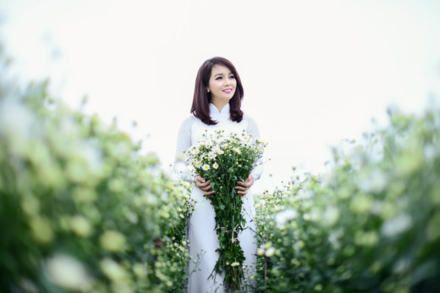 Hà Nội dịu dàng với mùa hoa cúc hoạ mi