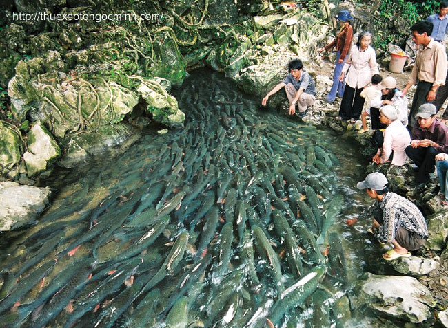 Những địa điểm check-in lý thú khi đến với xứ Thanh