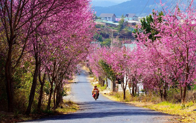 Những địa điểm du lịch thích hợp đi du xuân ở miền Bắc