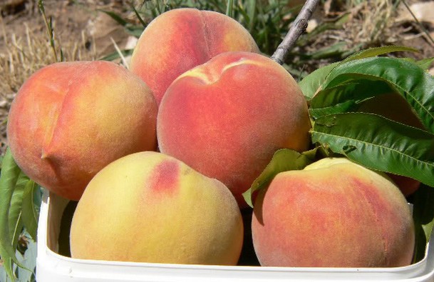 Sapa - điểm du lịch hấp dẫn dành cho các bạn trẻ dịp lễ 30/4 Sapa - điểm du lịch hấp dẫn dành cho các bạn trẻ dịp lễ 30/4