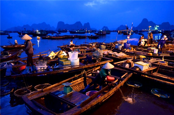 Chợ cá Bến Do - Nhịp sống bình dị giữa biển khơi