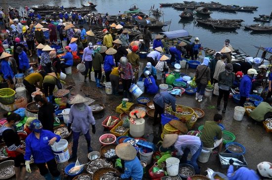 Chợ cá Bến Do - Nhịp sống bình dị giữa biển khơi