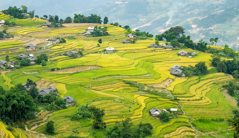 Cho thuê xe 16 chỗ đi Hà Giang giá rẻ tại Hà Nội Cho thuê xe 16 chỗ đi Hà Giang giá rẻ tại Hà Nội