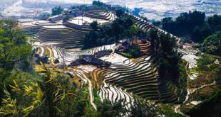Tả Van mùa nước đổ