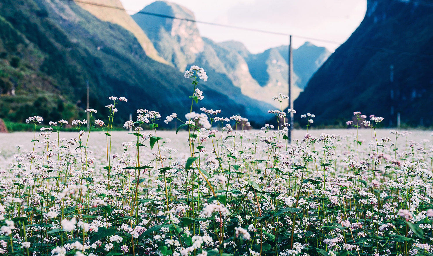 Du lịch tháng 11 - Tháng của sự mới mẻ và trẻ trung