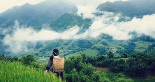 Thuê xe 16 chỗ đi du lịch sapa