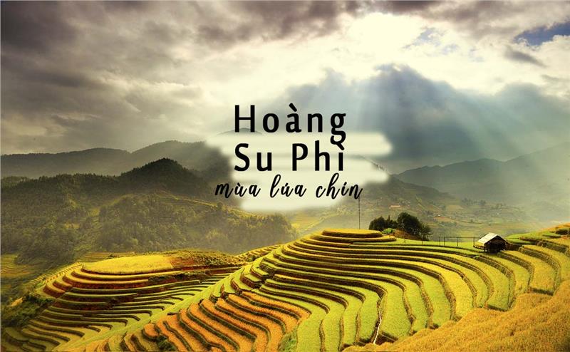 Trải nghiệm dịch vụ cho thuê xe 16 chỗ đi Hoàng Su Phì tại Ngọc Minh Trải nghiệm dịch vụ cho thuê xe 16 chỗ đi Hoàng Su Phì tại Ngọc Minh